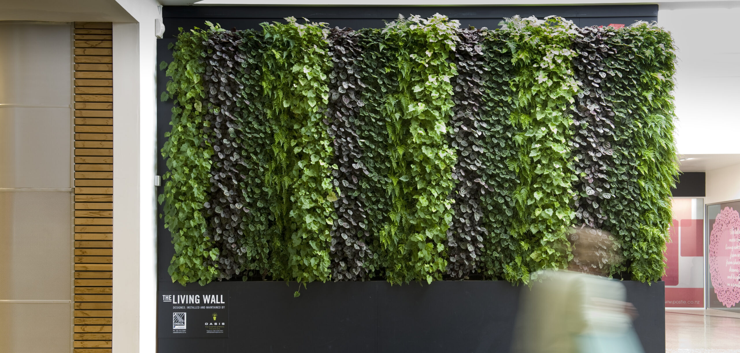Oasis Living Walls