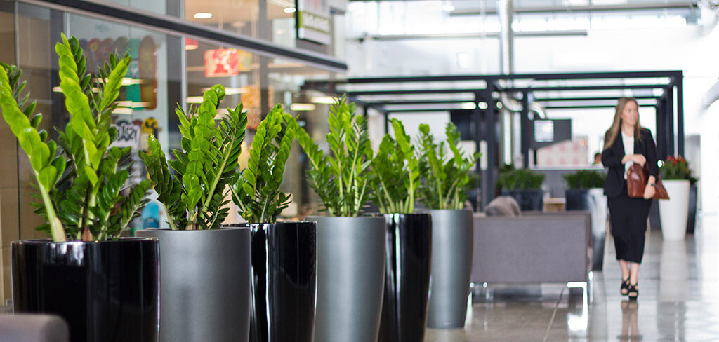 Oasis Plant Hire